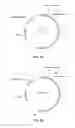 Fig. 03 - Enzymatically polymerized gelling dextrans