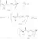 Fig. 24 - Retardation material-forming resin composition, orientation material, and retardation material