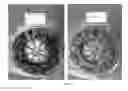 Fig. 04 - Composition comprising oligomeric polyol compositions and polyisocyanates