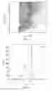 Fig. 02 - Dibenzosilole monomers and polymers and methods for their preparation and use