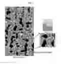 Fig. 02 - POLYIMIDE OR POLY(AMIDE-IMIDE) FILM, DISPLAY DEVICE INCLUDING SAME, AND METHOD FOR PREPARING SAME