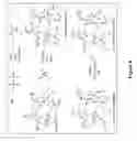 Fig. 09 - Multi-ionic salts and uses thereof