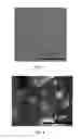 Fig. 06 - MULTIFUNCTIONAL MICROCARRIERS WITH THERMO-RESPONSIVE BIOMATERIAL COATING AND USE THEREOF