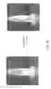 Fig. 08 - MULTIFUNCTIONAL MICROCARRIERS WITH THERMO-RESPONSIVE BIOMATERIAL COATING AND USE THEREOF