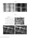 Fig. 07 - Light-activated preparation of hydrogels