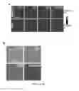 Fig. 10 - Molecularly engineered high thermal conductivity polymers and methods for making the same