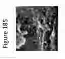 Fig. 187 - Clay soil modification with Ca exchangeable cation