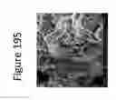 Fig. 197 - Clay soil modification with Ca exchangeable cation