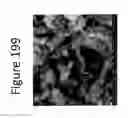 Fig. 201 - Clay soil modification with Ca exchangeable cation