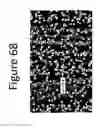 Fig. 69 - Clay soil modification with Ca exchangeable cation