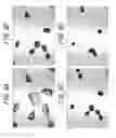 Fig. 05 - CELL CULTURE CONTAINER