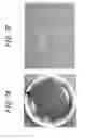 Fig. 08 - CELL CULTURE CONTAINER