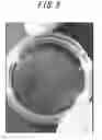 Fig. 10 - CELL CULTURE CONTAINER