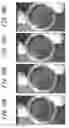 Fig. 11 - CELL CULTURE CONTAINER