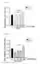 Fig. 07 - Serum-free medium additive composition containing peroxidasin, and use thereof