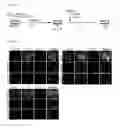 Fig. 08 - Serum-free medium additive composition containing peroxidasin, and use thereof