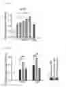 Fig. 12 - Serum-free medium additive composition containing peroxidasin, and use thereof