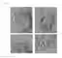 Fig. 08 - Cell culture substrate and method of making thereof