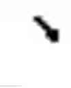 Fig. 02 - PLURIPOTENT STEM CELL THAT CAN BE ISOLATED FROM BODY TISSUE