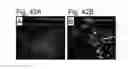 Fig. 43 - PLURIPOTENT STEM CELL THAT CAN BE ISOLATED FROM BODY TISSUE