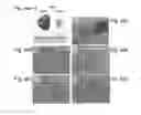 Fig. 45 - PLURIPOTENT STEM CELL THAT CAN BE ISOLATED FROM BODY TISSUE