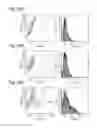 Fig. 50 - PLURIPOTENT STEM CELL THAT CAN BE ISOLATED FROM BODY TISSUE