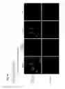 Fig. 69 - PLURIPOTENT STEM CELL THAT CAN BE ISOLATED FROM BODY TISSUE