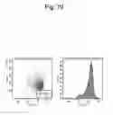 Fig. 71 - PLURIPOTENT STEM CELL THAT CAN BE ISOLATED FROM BODY TISSUE