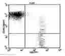 Fig. 01 - Method of culturing NK cells and kits containing medium additions