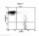 Fig. 02 - Method of culturing NK cells and kits containing medium additions