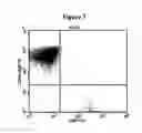 Fig. 04 - Method of culturing NK cells and kits containing medium additions