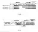 Fig. 48 - MODIFIED HEMATOPOIETIC STEM/PROGENITOR AND NON-T EFFECTOR  CELLS, AND USES THEREOF