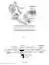 Fig. 49 - MODIFIED HEMATOPOIETIC STEM/PROGENITOR AND NON-T EFFECTOR  CELLS, AND USES THEREOF