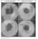 Fig. 01 - Method of promoting spheroid formation