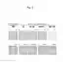 Fig. 06 - Method for screening for pluripotent stem cell growth-promoting factor