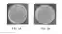 Fig. 07 - Fusion polymerase and method for using the same