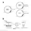 Fig. 02 - Nucleic acids useful for integrating into and gene expression in hyperthermophilic acidophilic Archaea