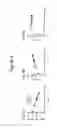 Fig. 09 - Factor IX fusion proteins and methods of making and using same