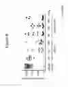 Fig. 10 - Factor IX fusion proteins and methods of making and using same