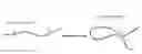 Fig. 01 - Manipulation of nuclear architecture