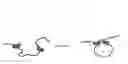 Fig. 03 - Manipulation of nuclear architecture