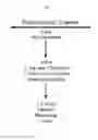 Fig. 05 - Manipulation of nuclear architecture