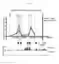 Fig. 06 - Manipulation of nuclear architecture