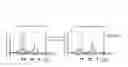 Fig. 34 - Manipulation of nuclear architecture
