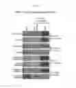 Fig. 40 - Manipulation of nuclear architecture