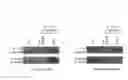 Fig. 47 - Manipulation of nuclear architecture