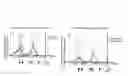 Fig. 49 - Manipulation of nuclear architecture