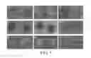 Fig. 02 - INHIBITING GENE EXPRESSION WITH dsRNA