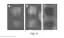 Fig. 03 - INHIBITING GENE EXPRESSION WITH dsRNA