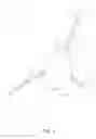 Fig. 04 - TRANSCRIPTION TERMINATOR AND USE THEREOF